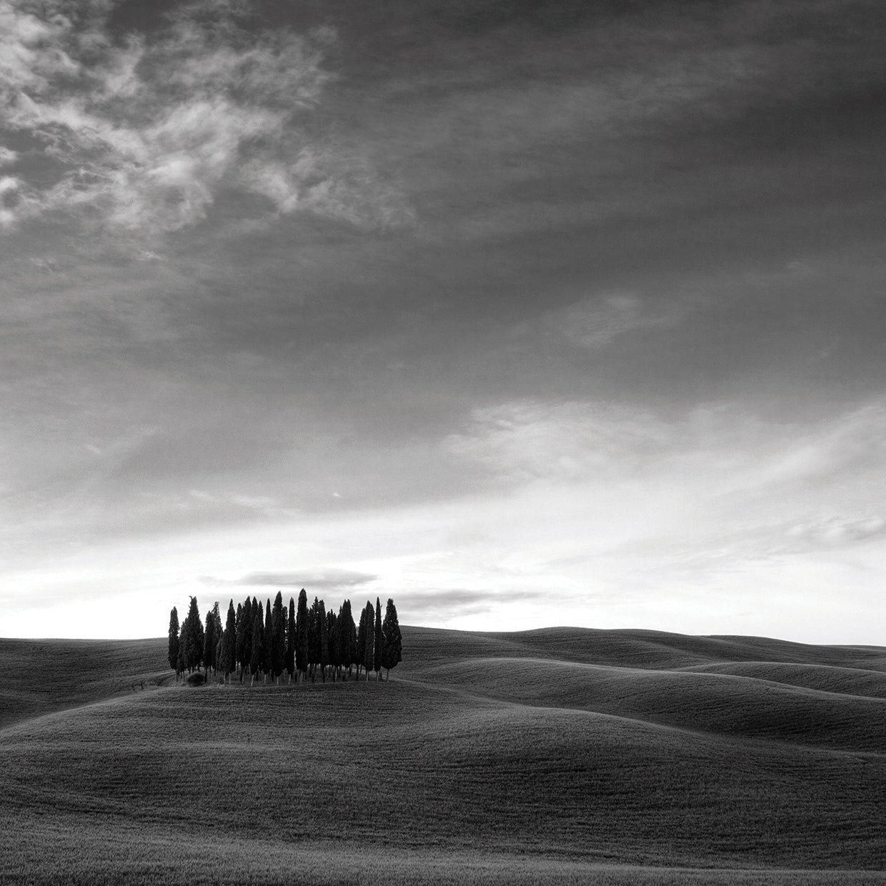 Italy # 8