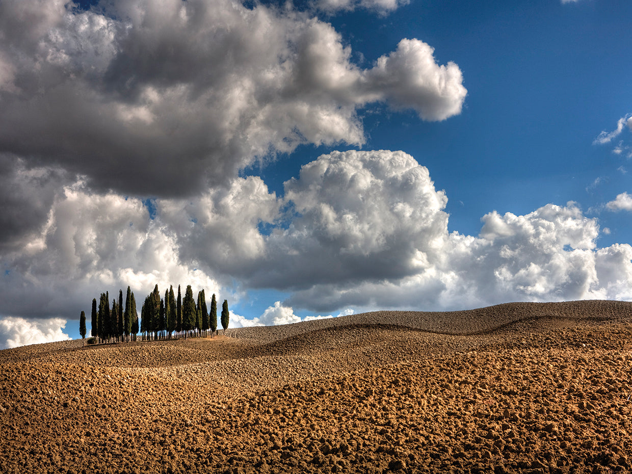 Tuscany III