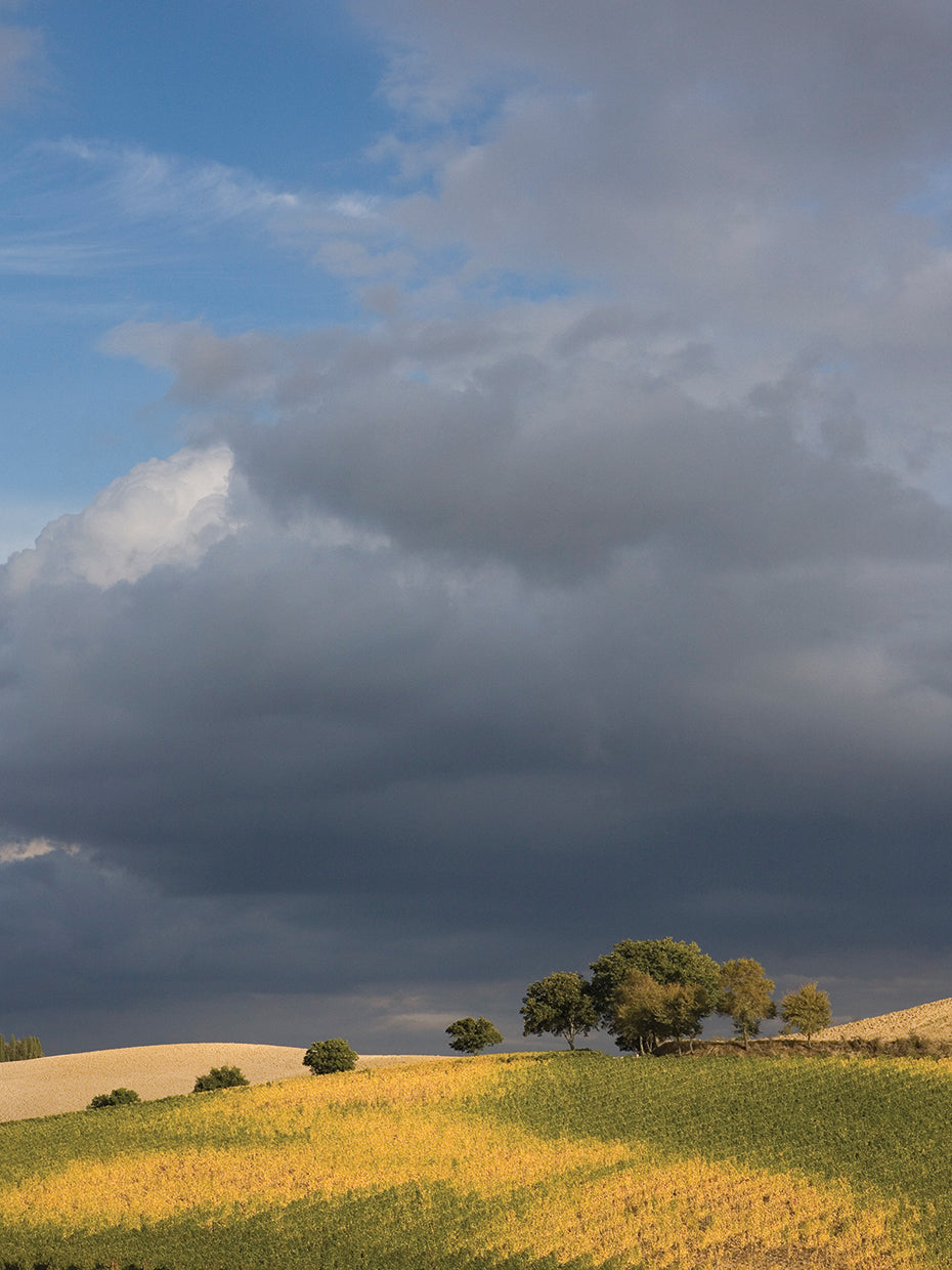 Tuscany IV