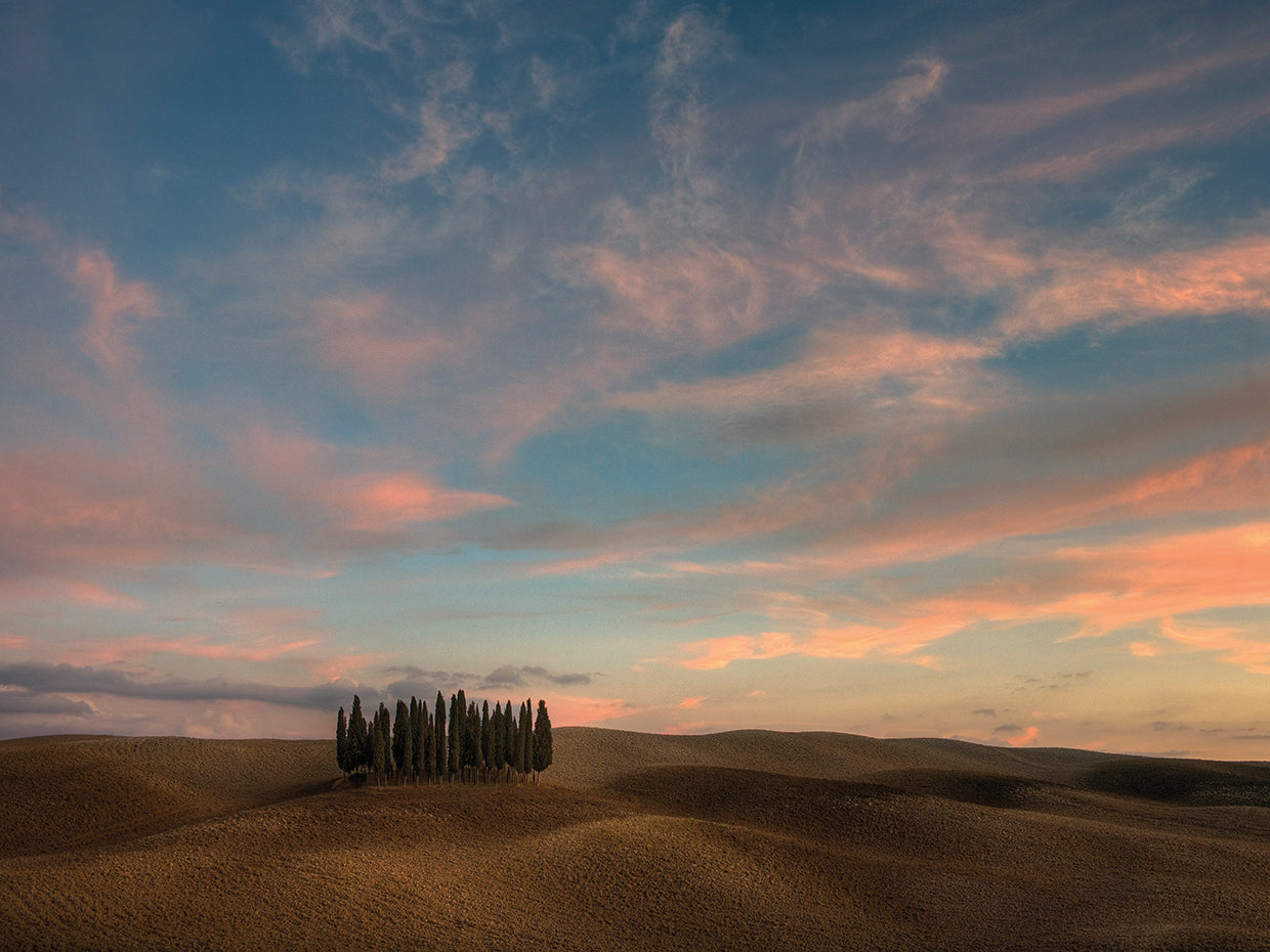 Tuscany VII