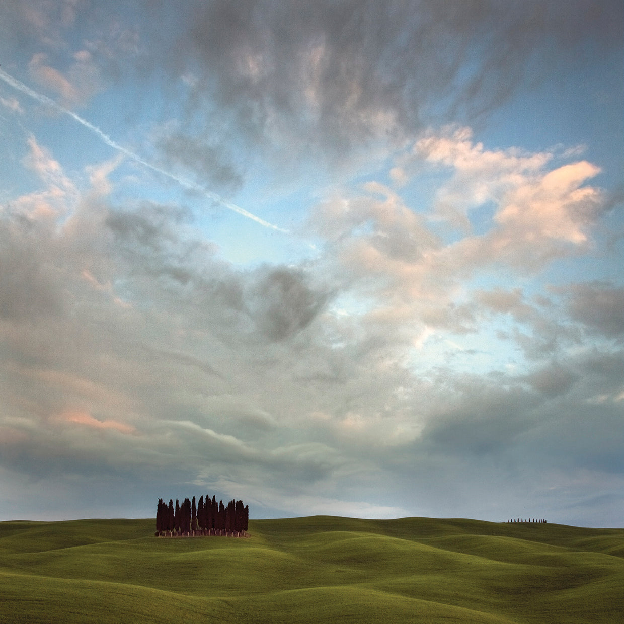 Tuscany VIII