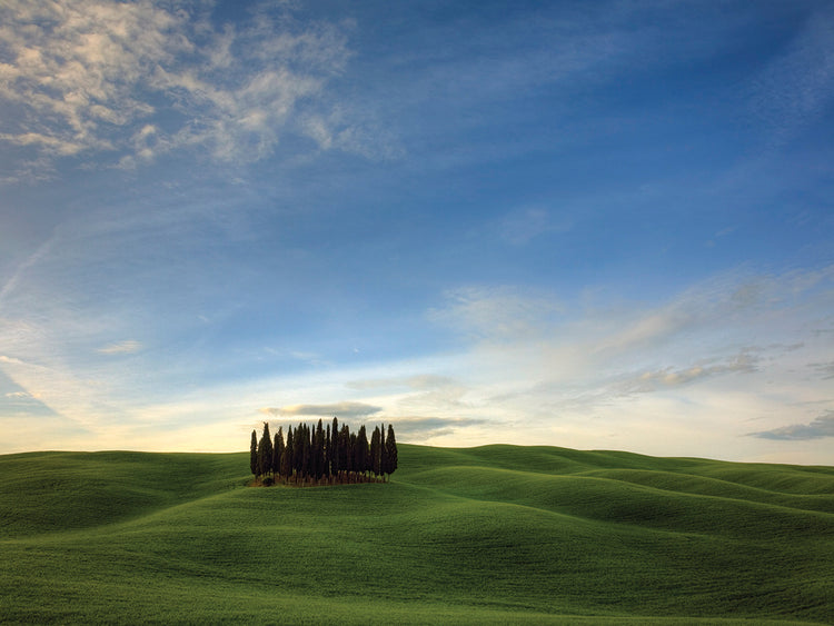 Arte en lienzo Toscana I