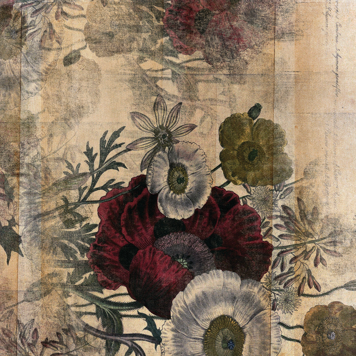Floral Collage Burgandy Bloom