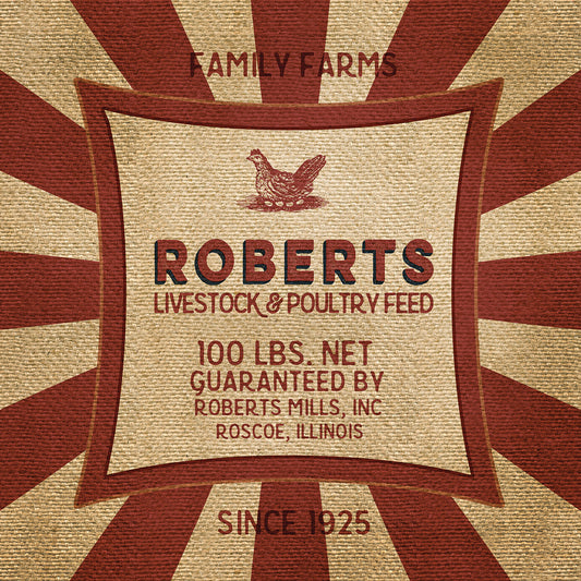 Roberts Starburst Feed Sack Canvas Print