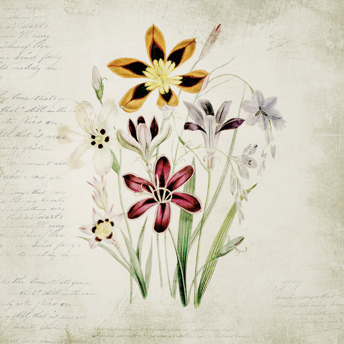 Wild Flowers One