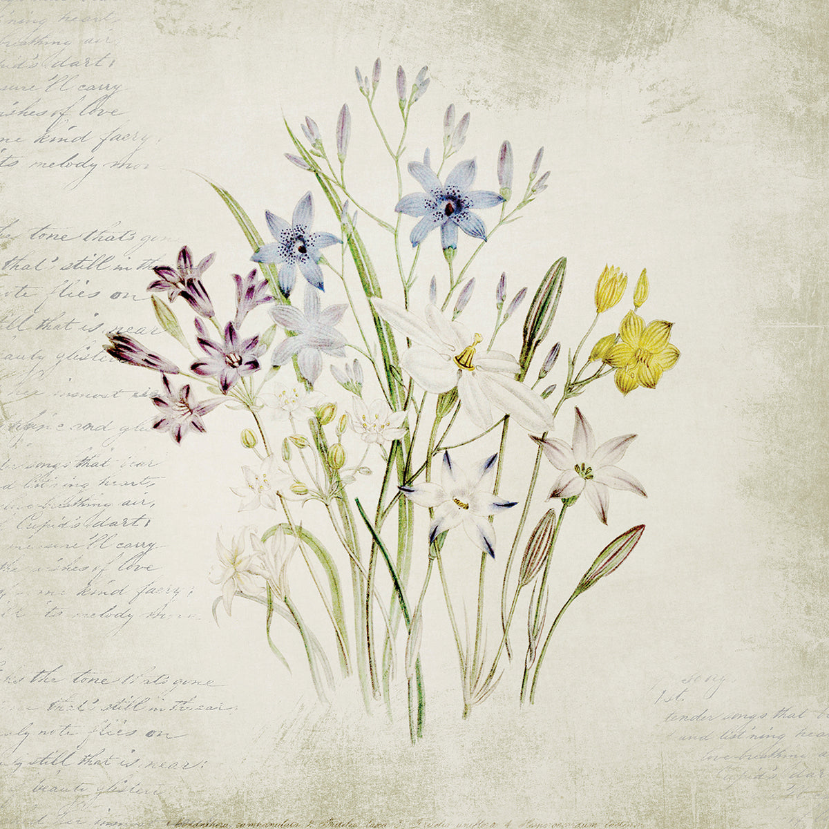 Wild Flowers Three