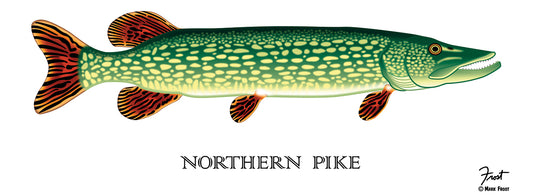 Northern Pike Canvas Print