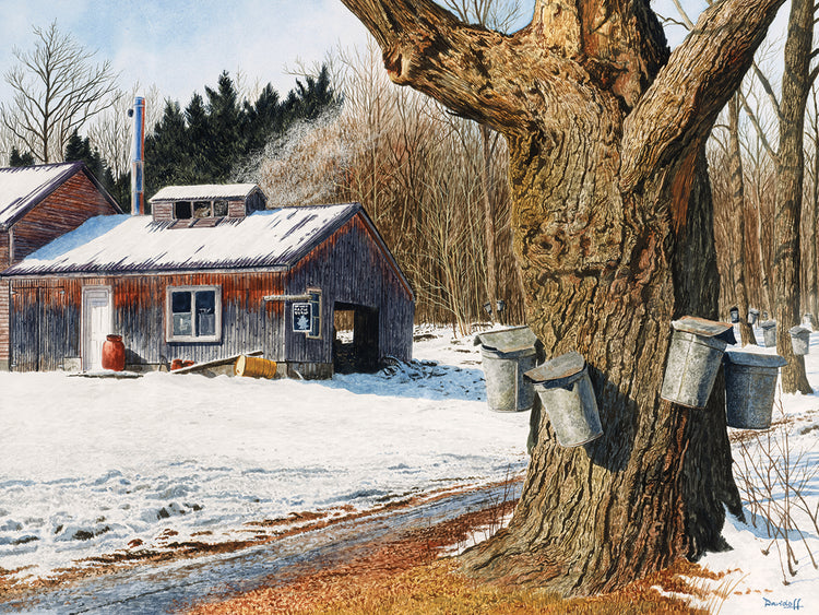 Sugarhouse Near Becket