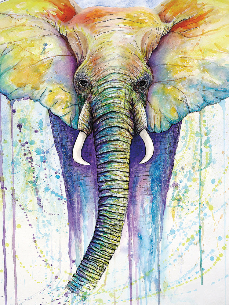Elephant Colors
