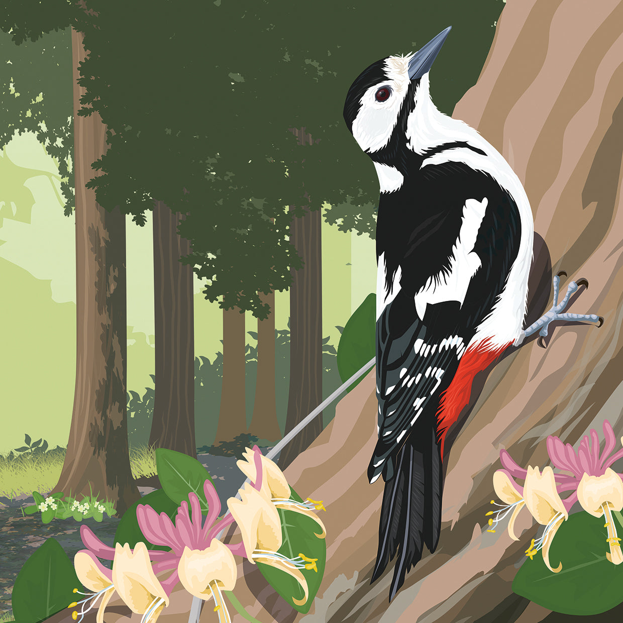 Pájaro carpintero en el árbol Lienzo
