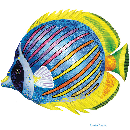 Fish 1 Blue-Yellow