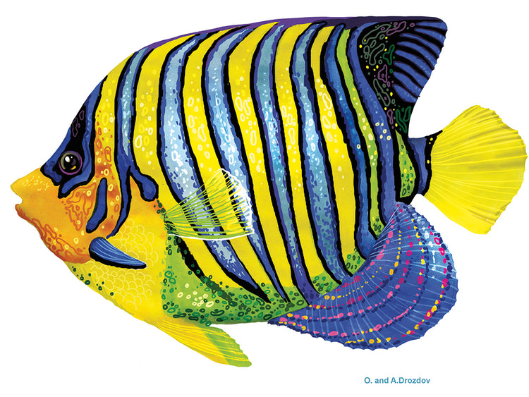 Fish 2 Azul-Amarillo Lienzo