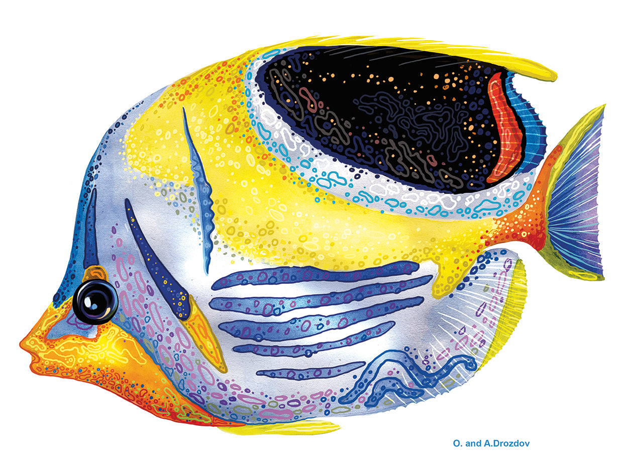 Fish 5 Azul-Amarillo Lienzo
