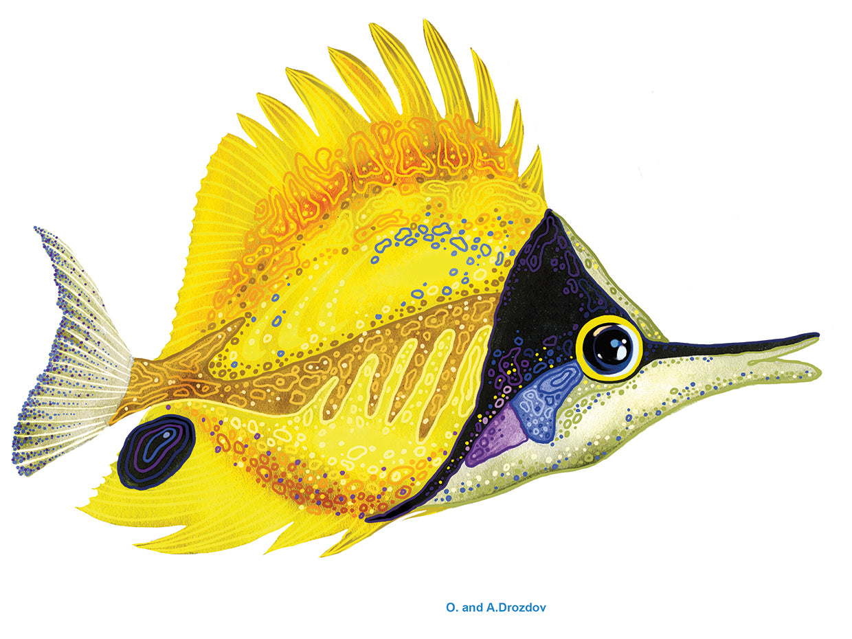 Pescado 5 Rojo-Amarillo Lienzo