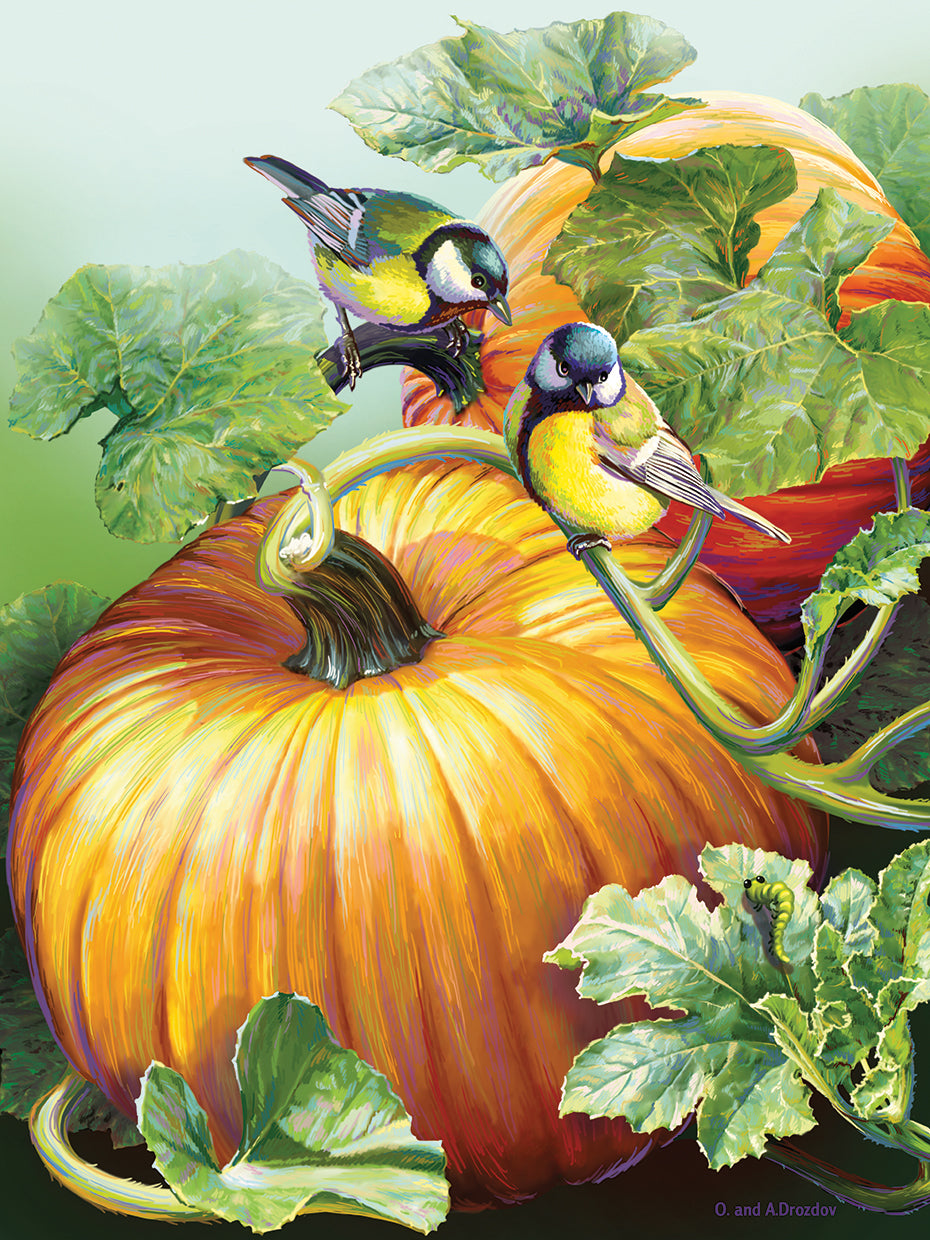 Two Birdies On Pumpkin