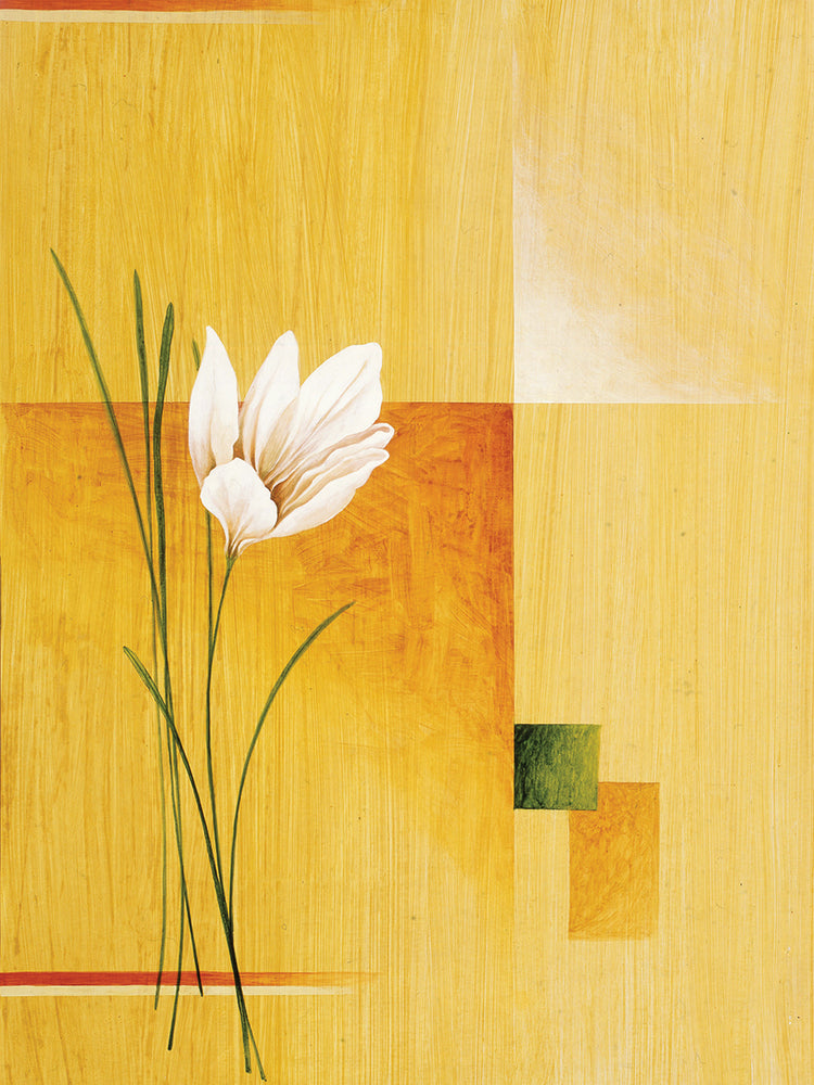 Geometric Shapes and Flowers # 2