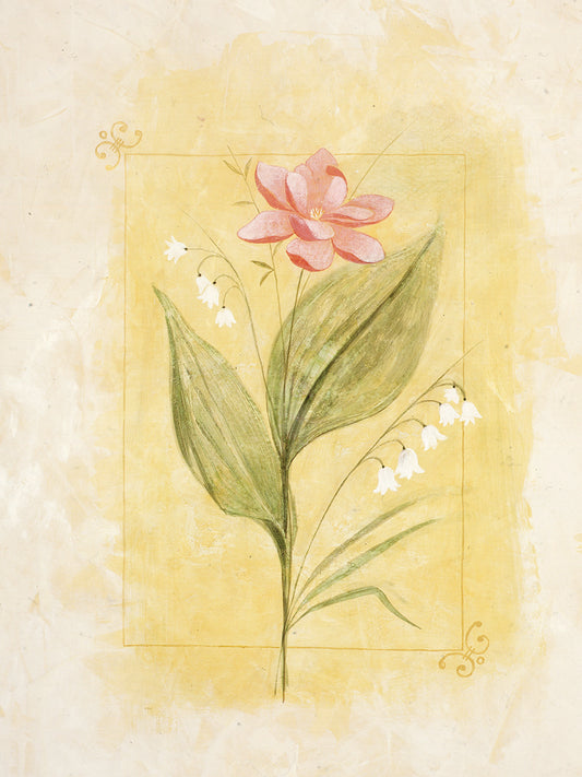 Pink Pastel Flower 2 Canvas Print