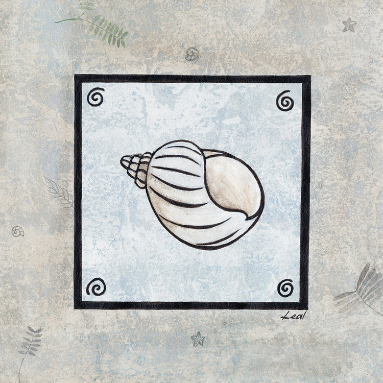 Sea Shell Frame