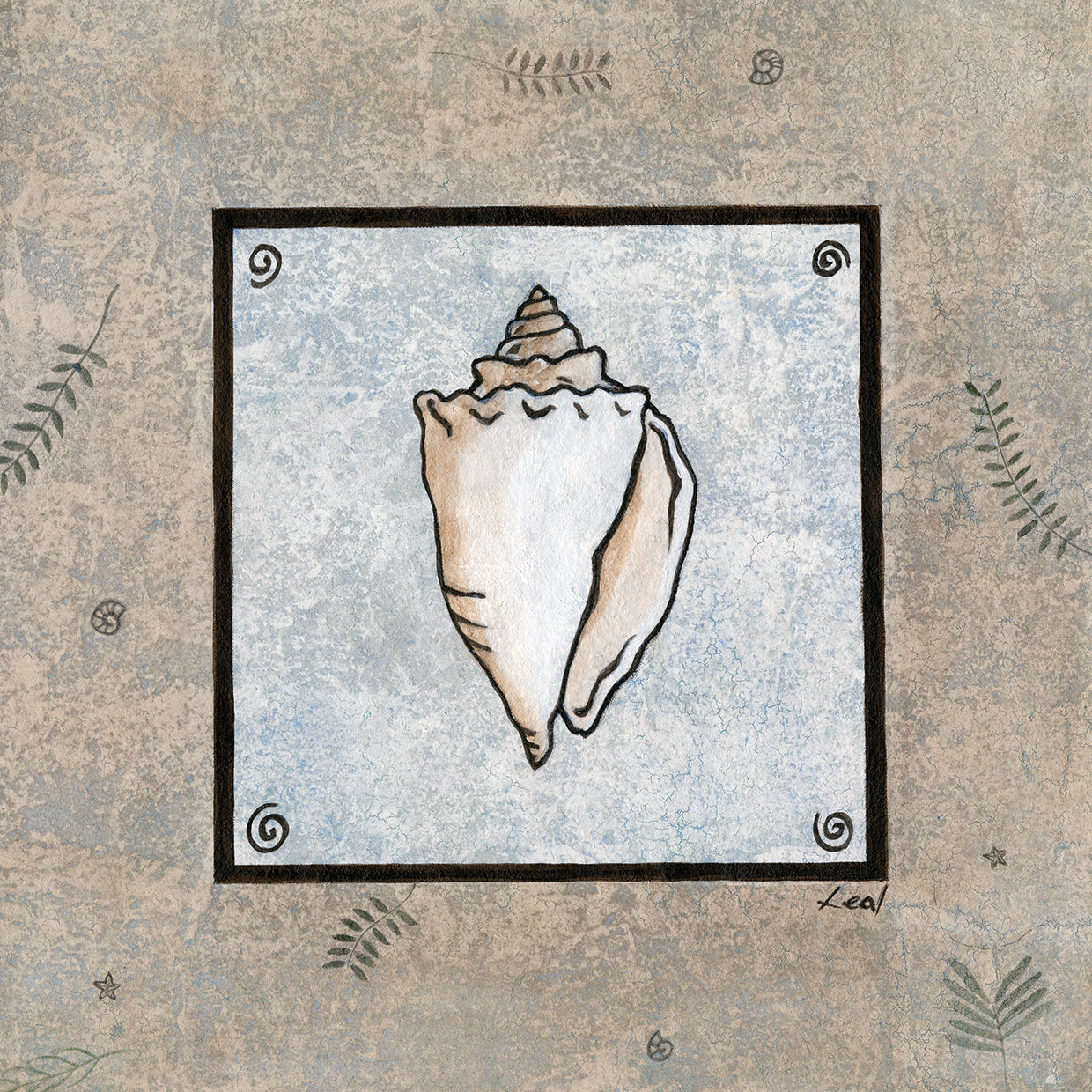 Sea Shell Frame 2