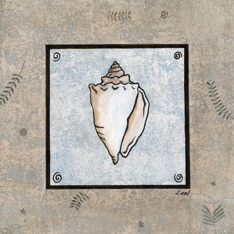 Sea Shell Frame 2
