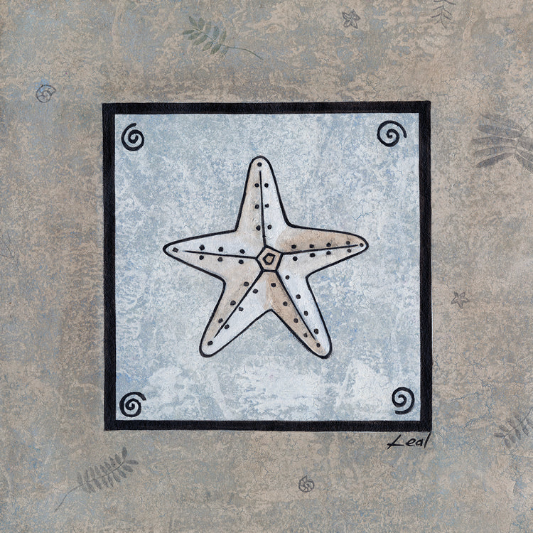 Starfish Frame