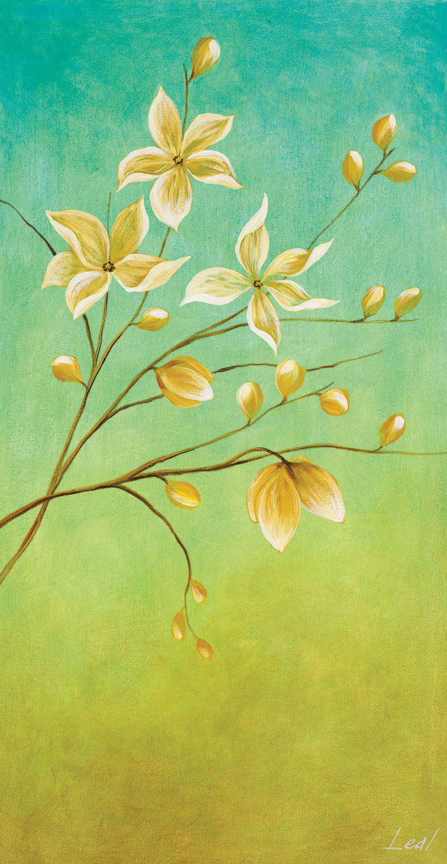white-flowers-plants-4-pablo-esteban