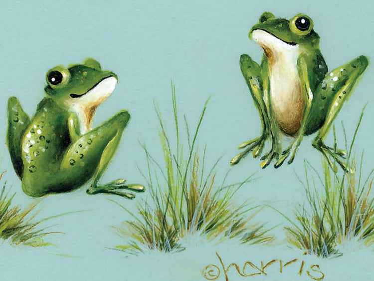 Lluvias de abril - Ranas con hierba Lienzo