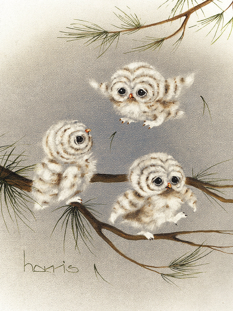 Baby Barnstormers Lienzo