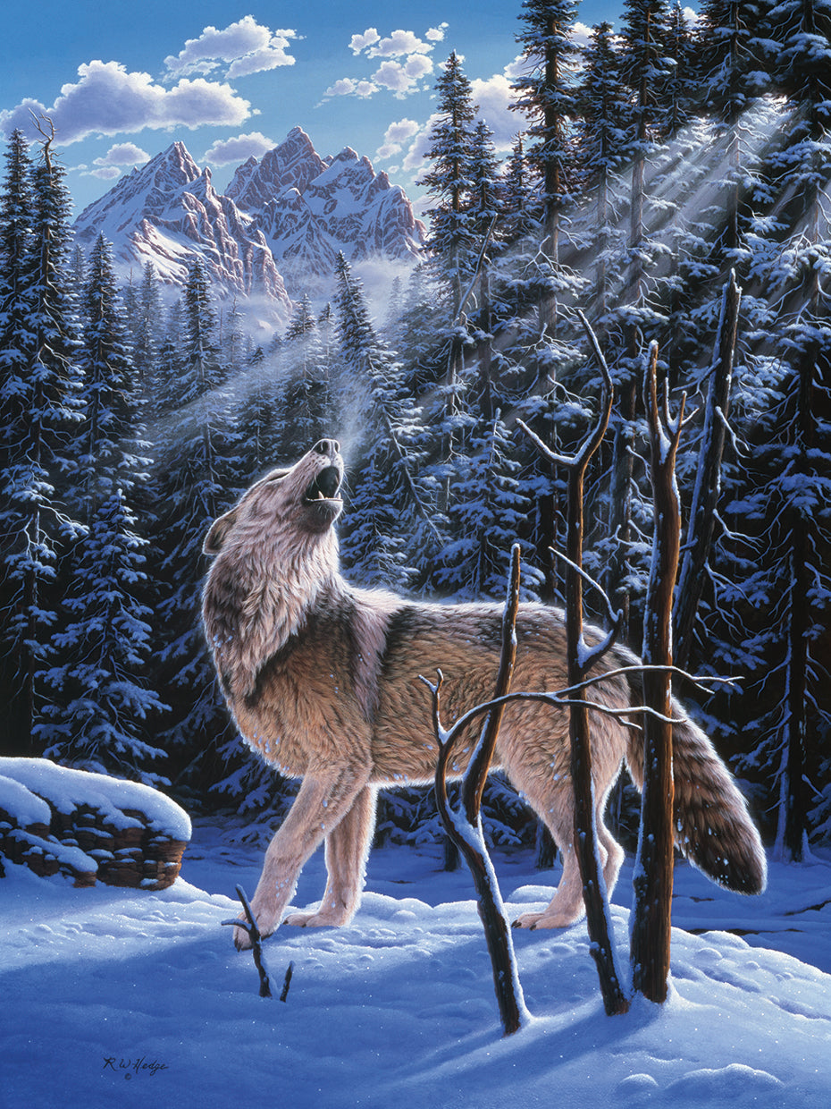 In The Still Of The Tetons