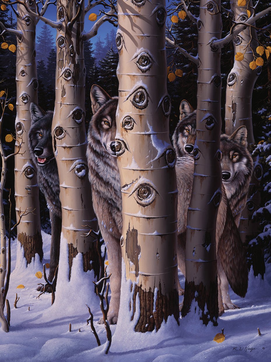 The Eyes Of The King