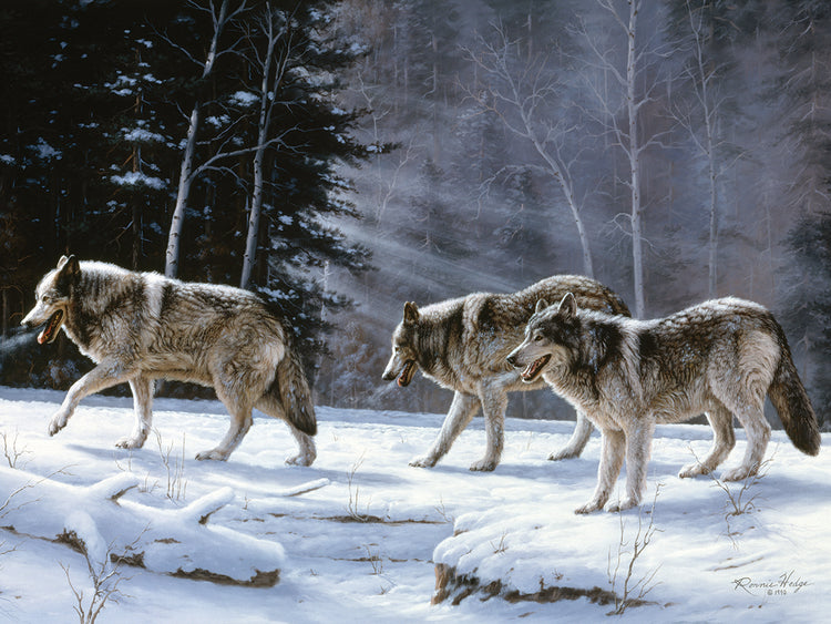 Six Pack Minus Three