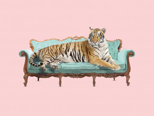 Lazy Tiger Canvas Print
