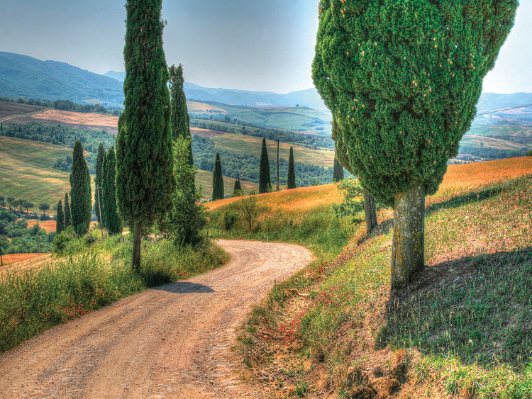 Tuscan Footpath 0392