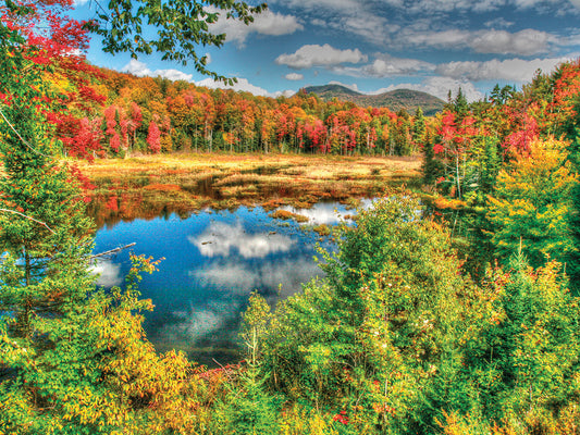 Adirondack Pond Canvas Print
