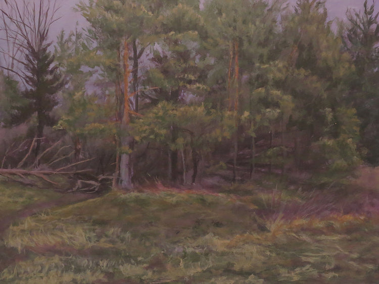 Kensington Along GM Drive