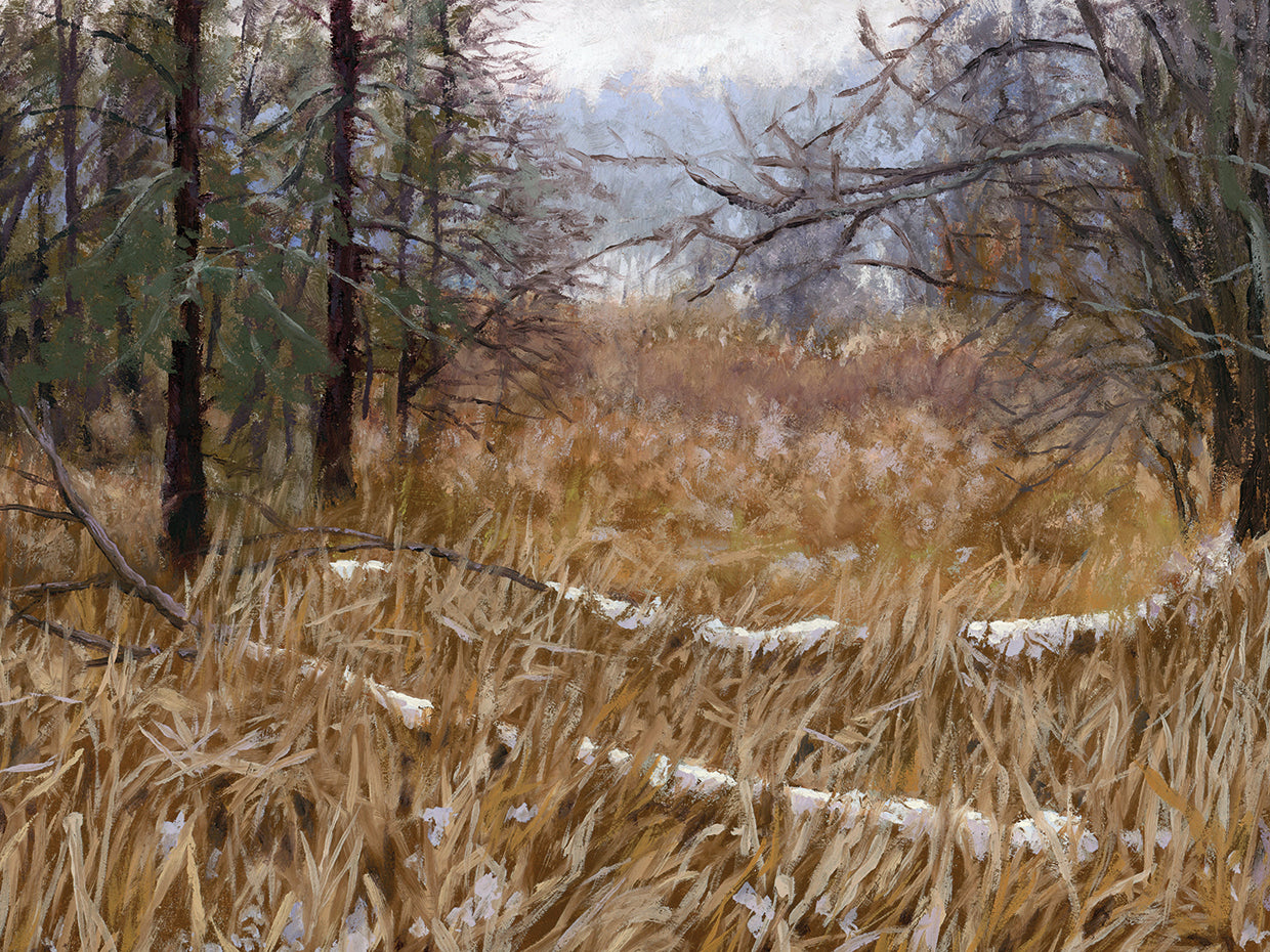 Kensington Metro Park Trail