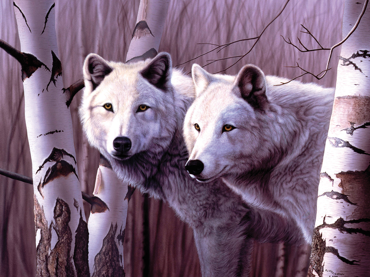 A Pair Of White Wolves