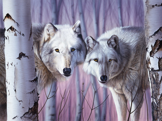 White Wolves By Birch Canvas Print
