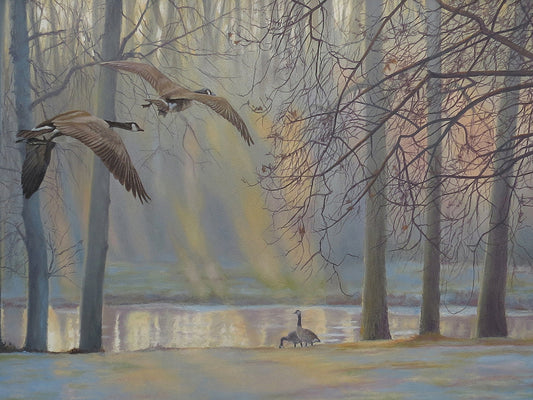 Geese An Pond Canvas Print