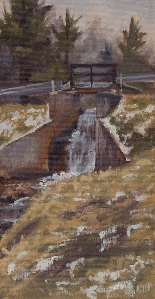 Highland Rec Dam Canvas Print