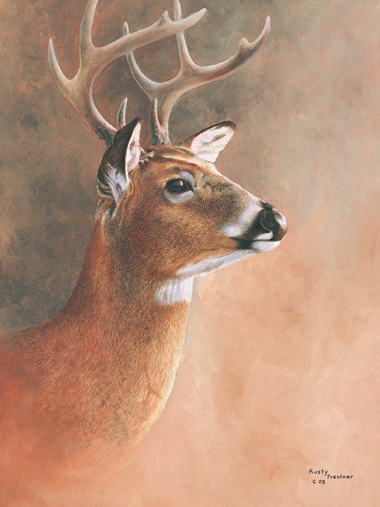 Deer Close-Up Canvas Print