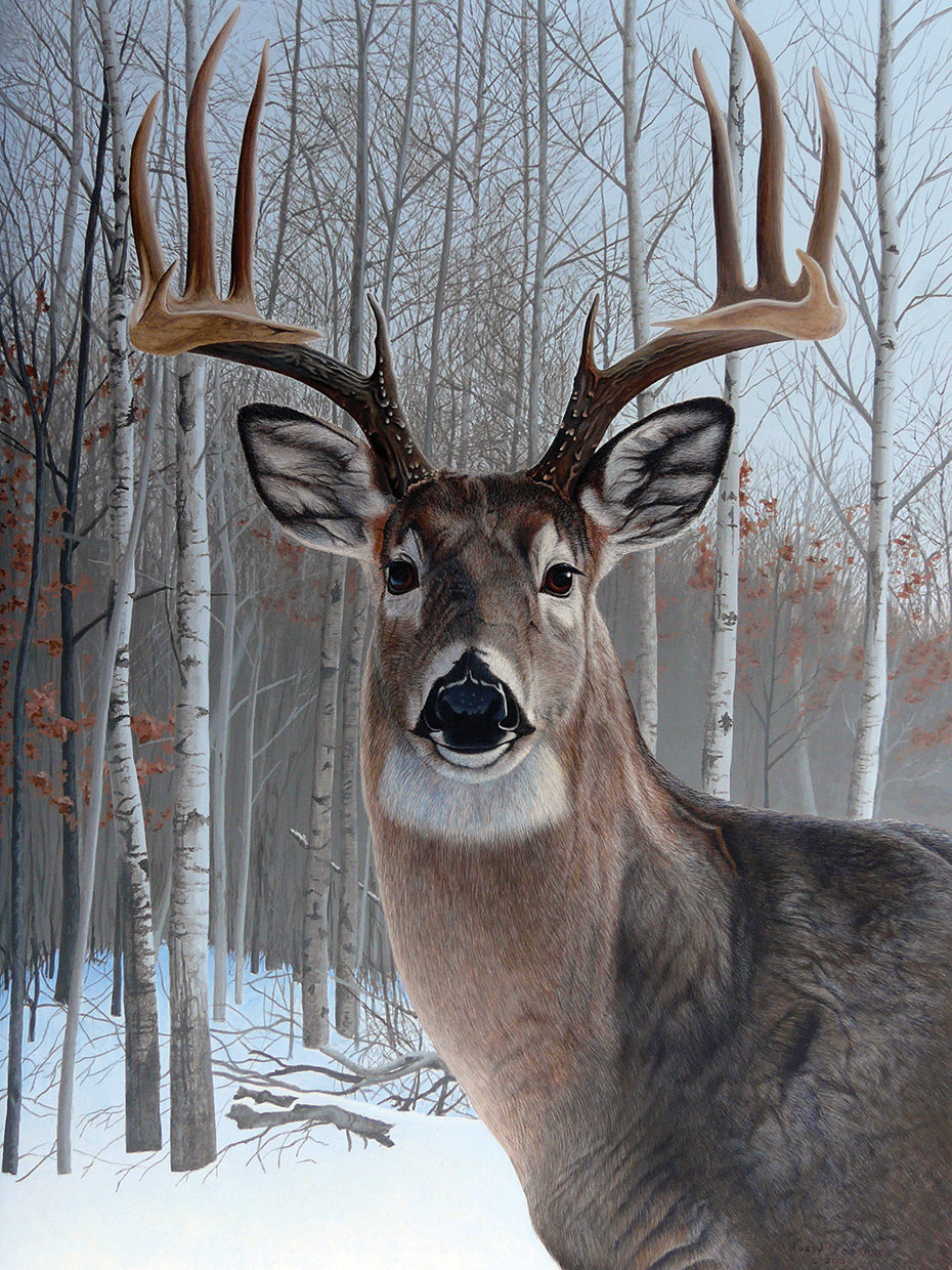 Deer