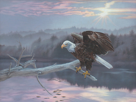 The Huron Eagle Canvas Print