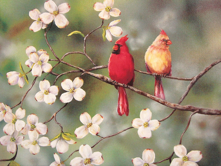 Cardinals