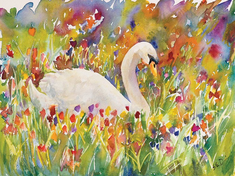 Colorful Swan
