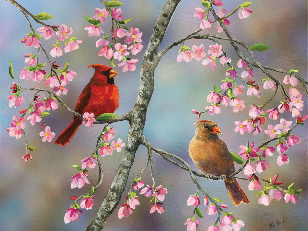 Spring Cardinals