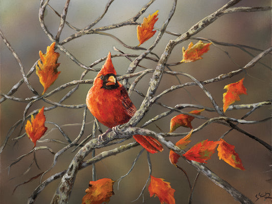 Fall Cardinal