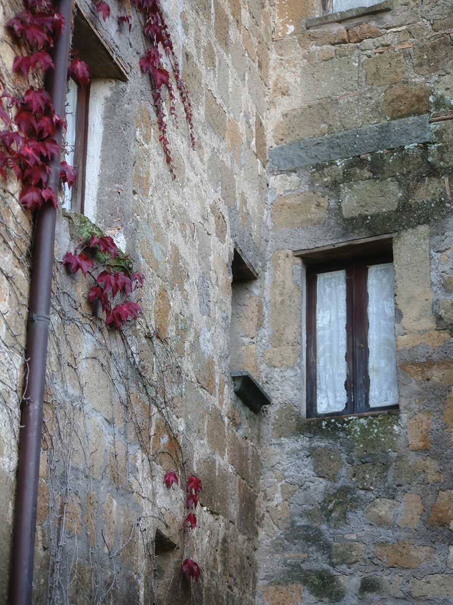 Window Details