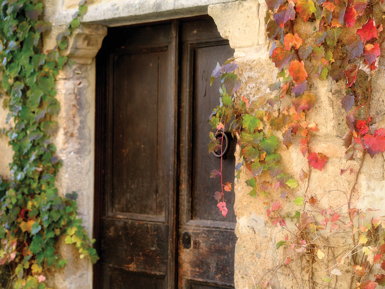 Vintage Doorway