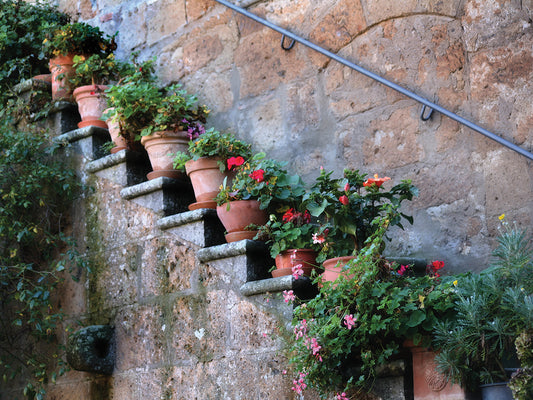 Plants on Stairs Canvas Prints